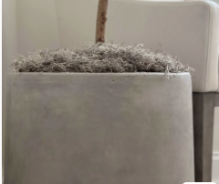 Cement Planters thumbnail