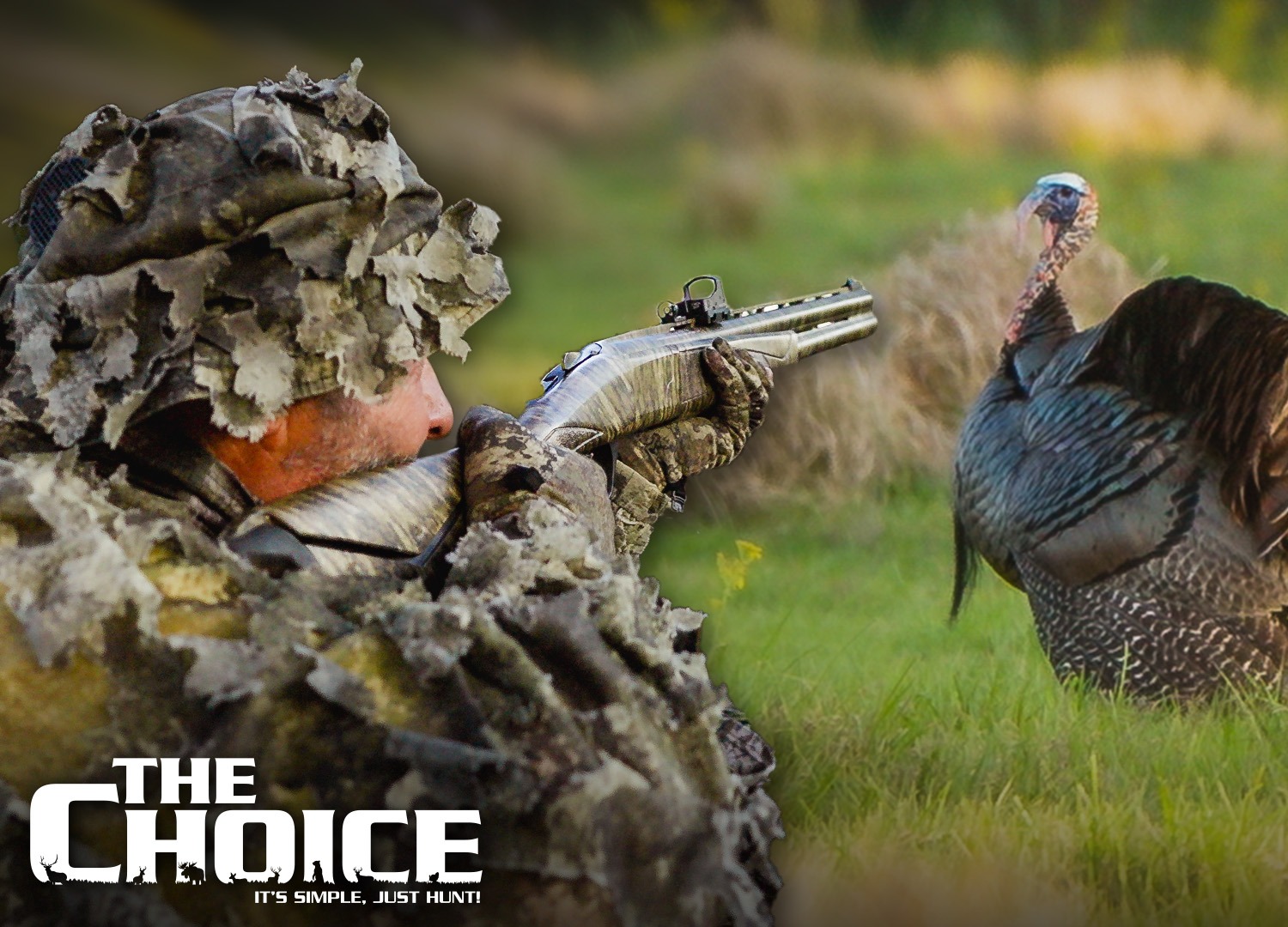 SPECIAL TURKEY tour episode thumbnail