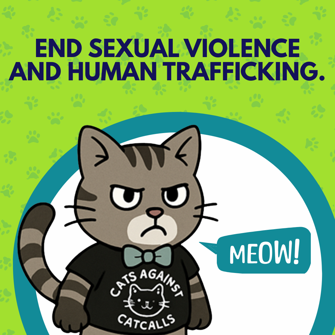 Programs | Our Voice thumbnail