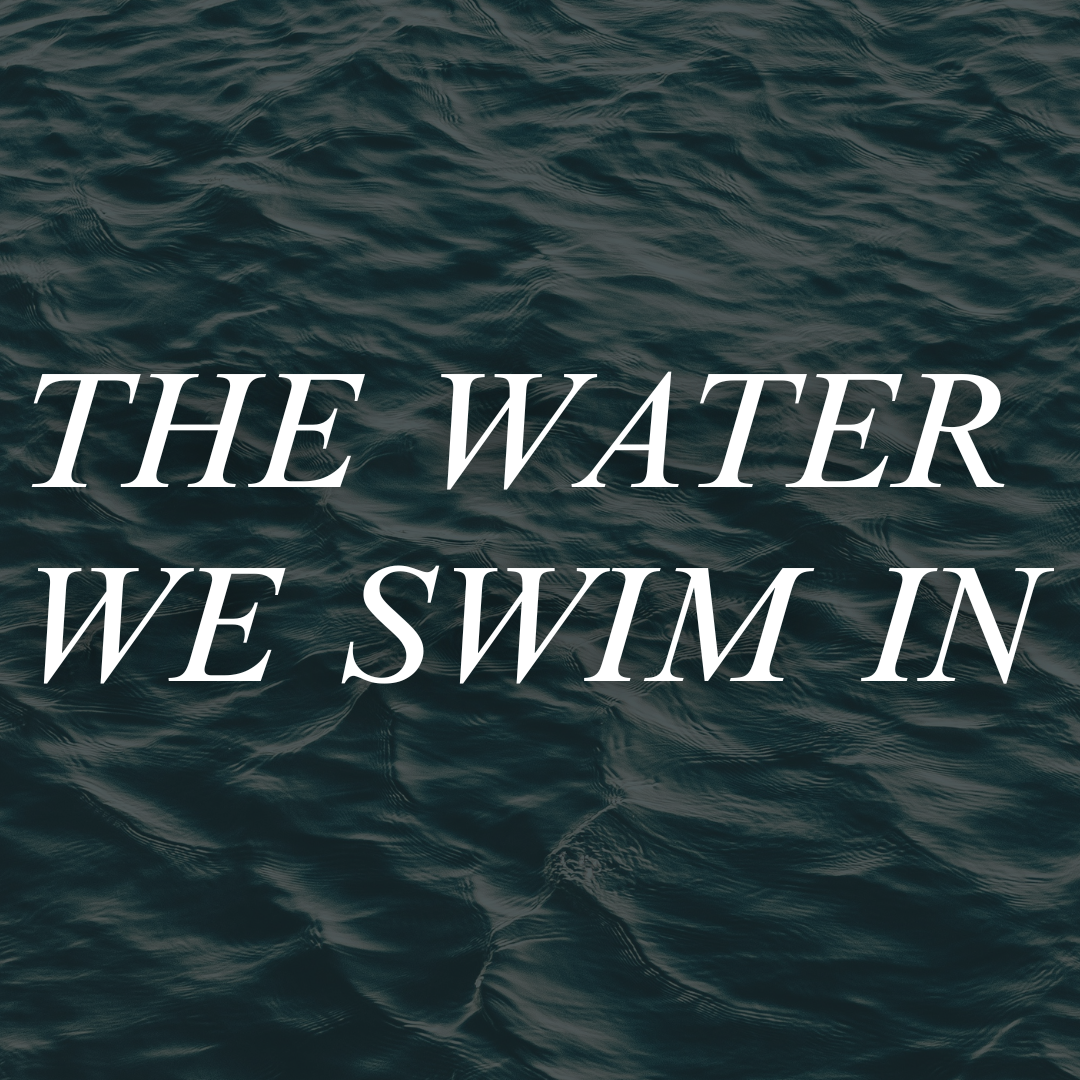 🌊 Subscribe to The Water We Swim In Podcast thumbnail