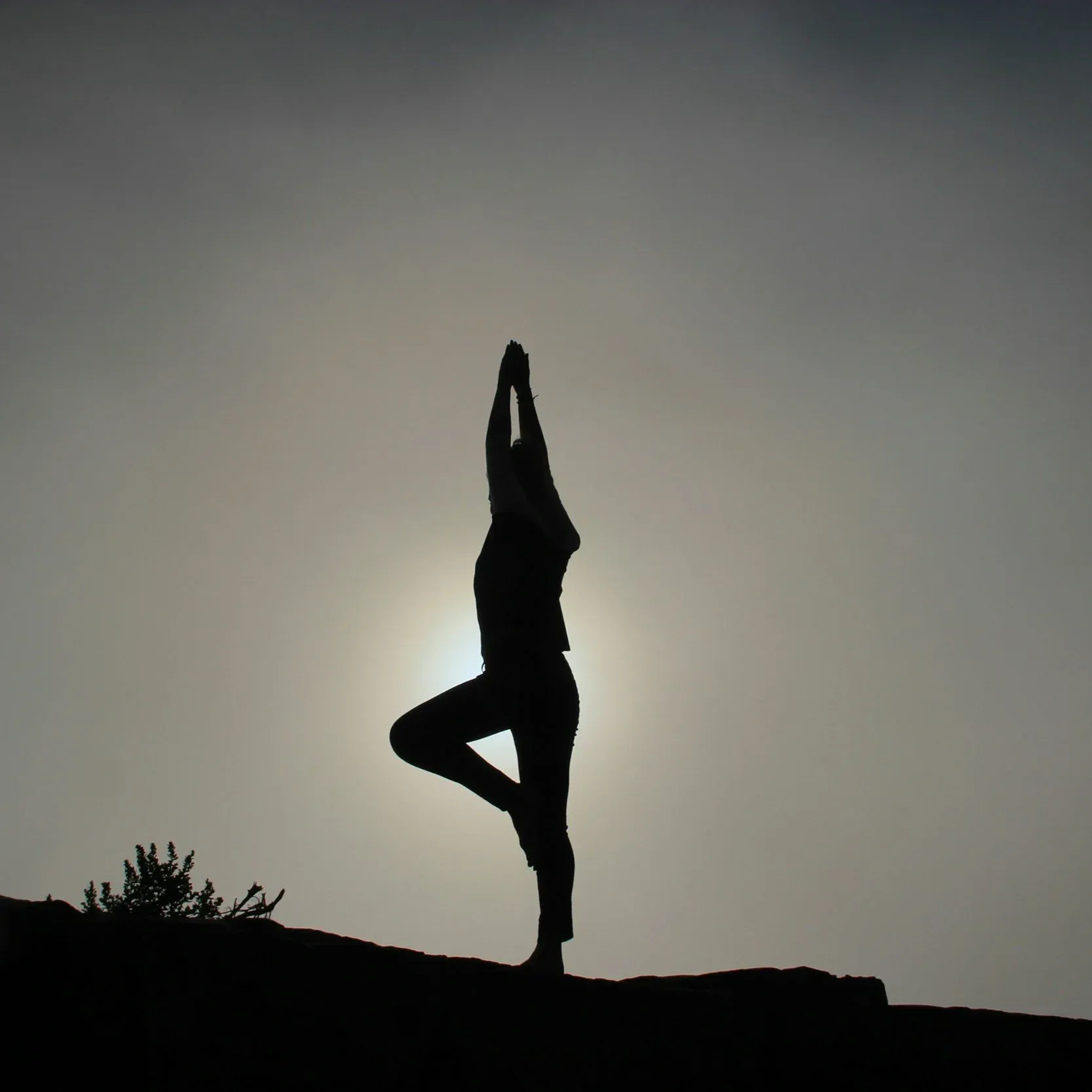 Cours de Yoga Hatha, Vinyasa, Kundalini, Nidra, libération psychocorporelle/ mémoires cellulaires et ateliers, des pratiques pour une vie saine âme esprit corps + cours en ligne  thumbnail