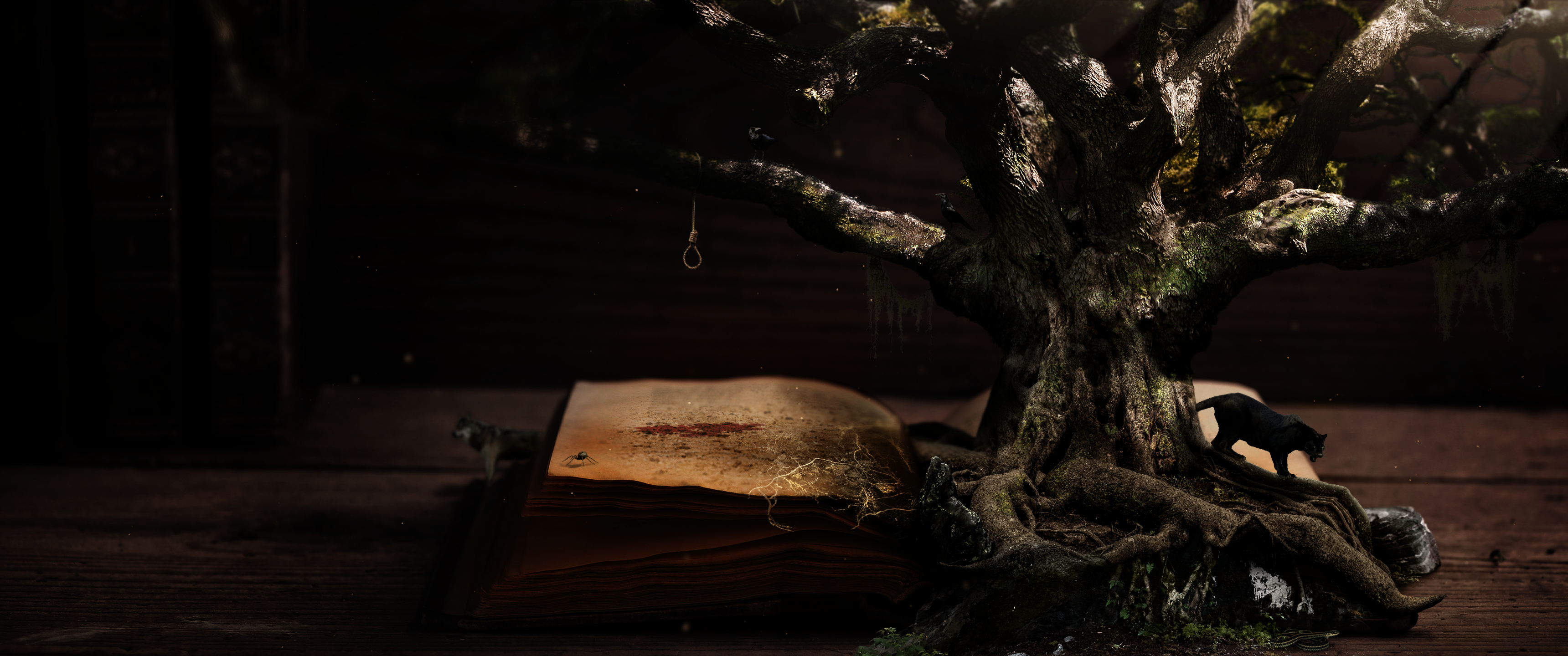 Signed Copies thumbnail