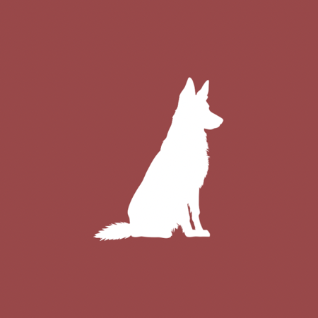 Welcome a Rescue Dog to MN: Sponsor Their First Night thumbnail