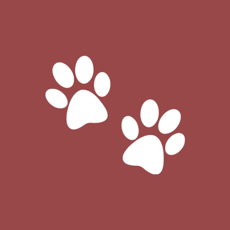 Adoptable Dogs thumbnail