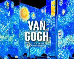 Van Gogh - The Immersive Experience Utrecht: Entry Ticket | Book Online thumbnail
