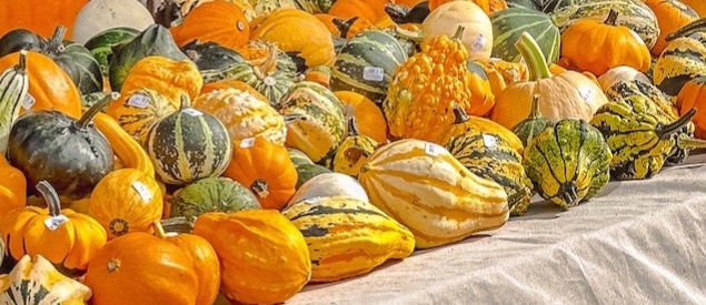 15X Doen in Utrecht in oktober 🍂 thumbnail