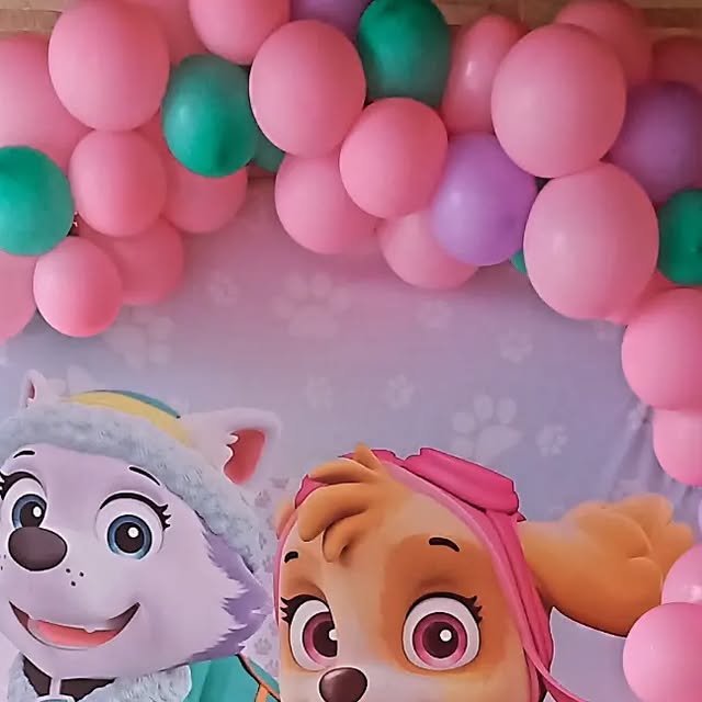 Aniversário Patrulha Canina thumbnail