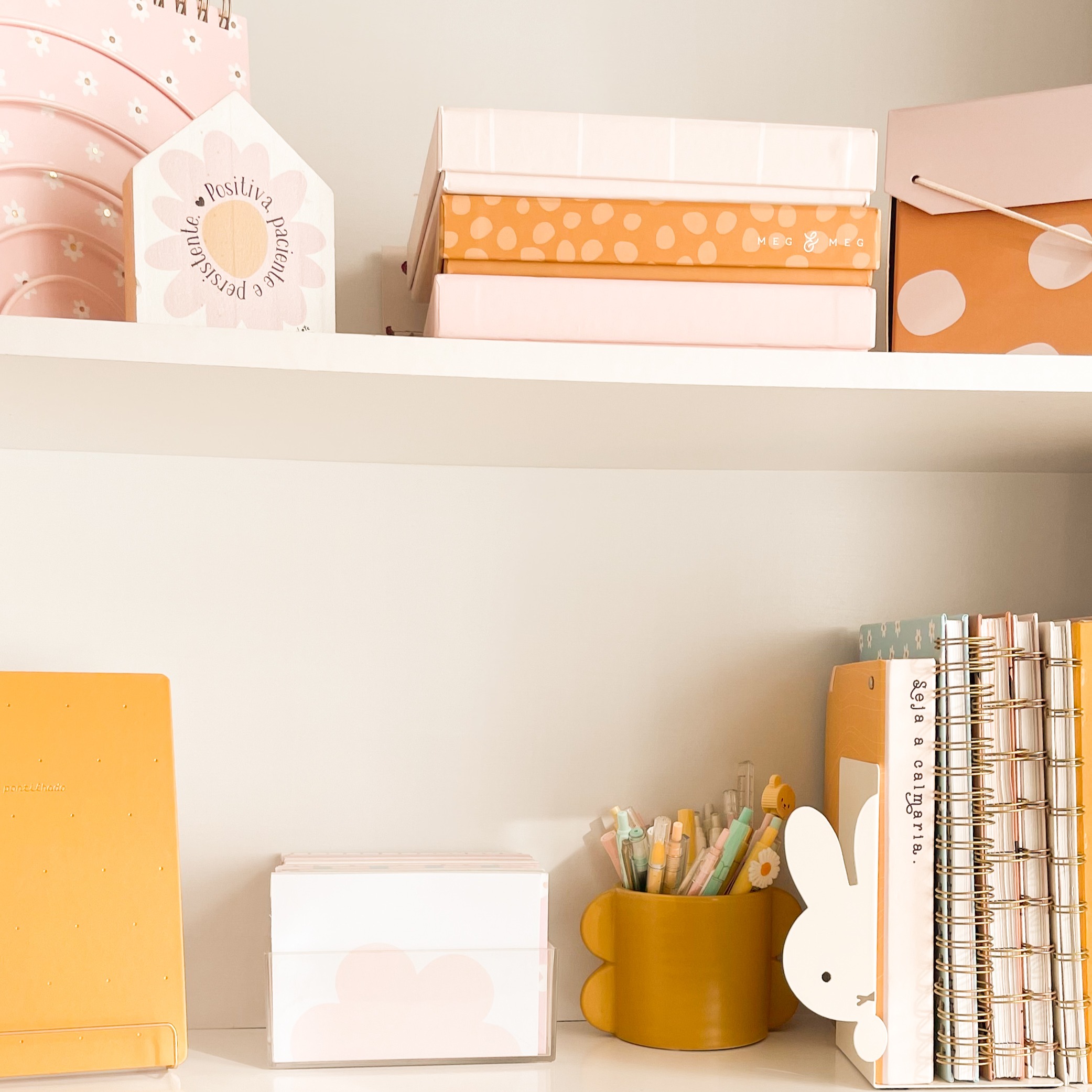 Minha estante thumbnail