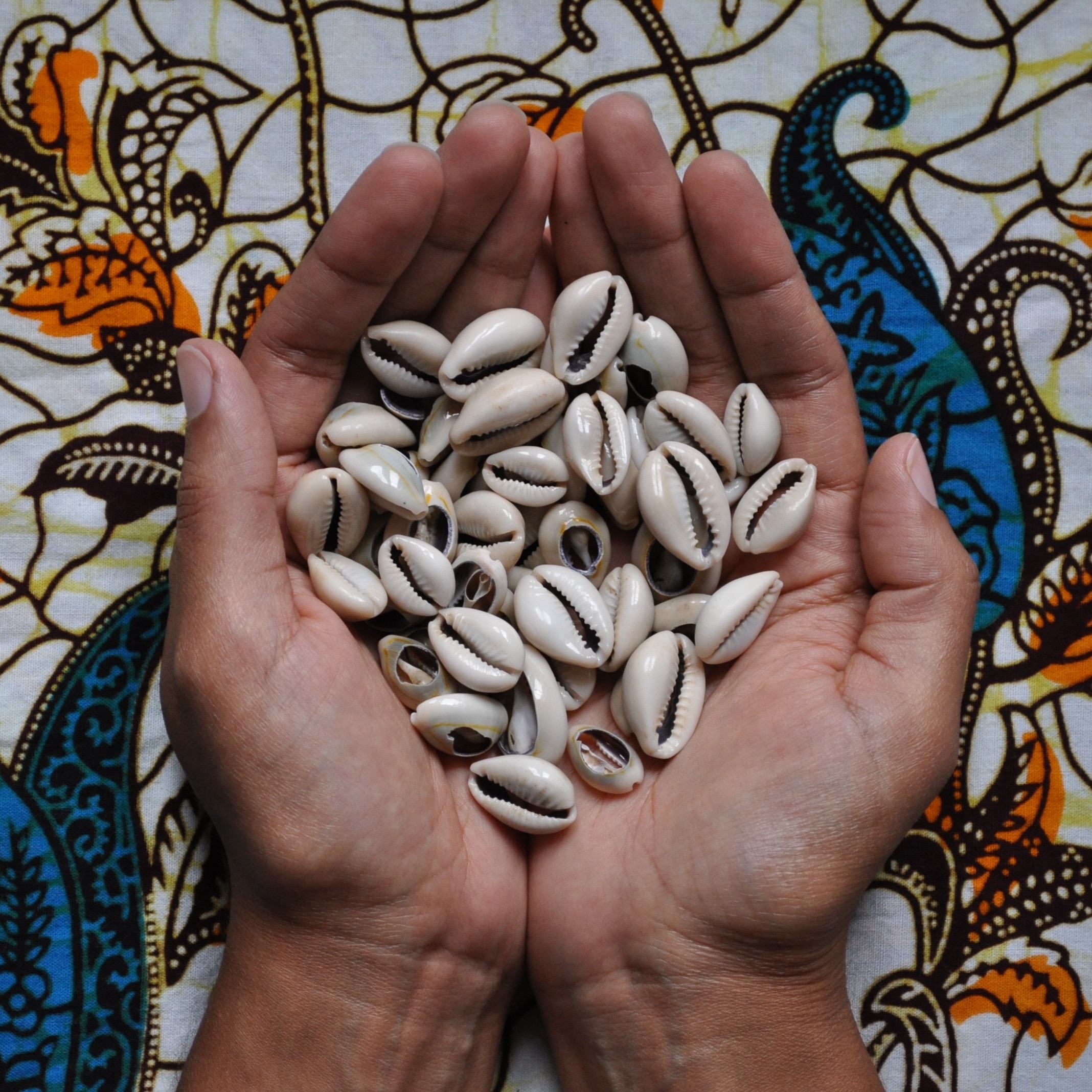 A Cowry for a Cowry: Time banks equalize talent and services  thumbnail