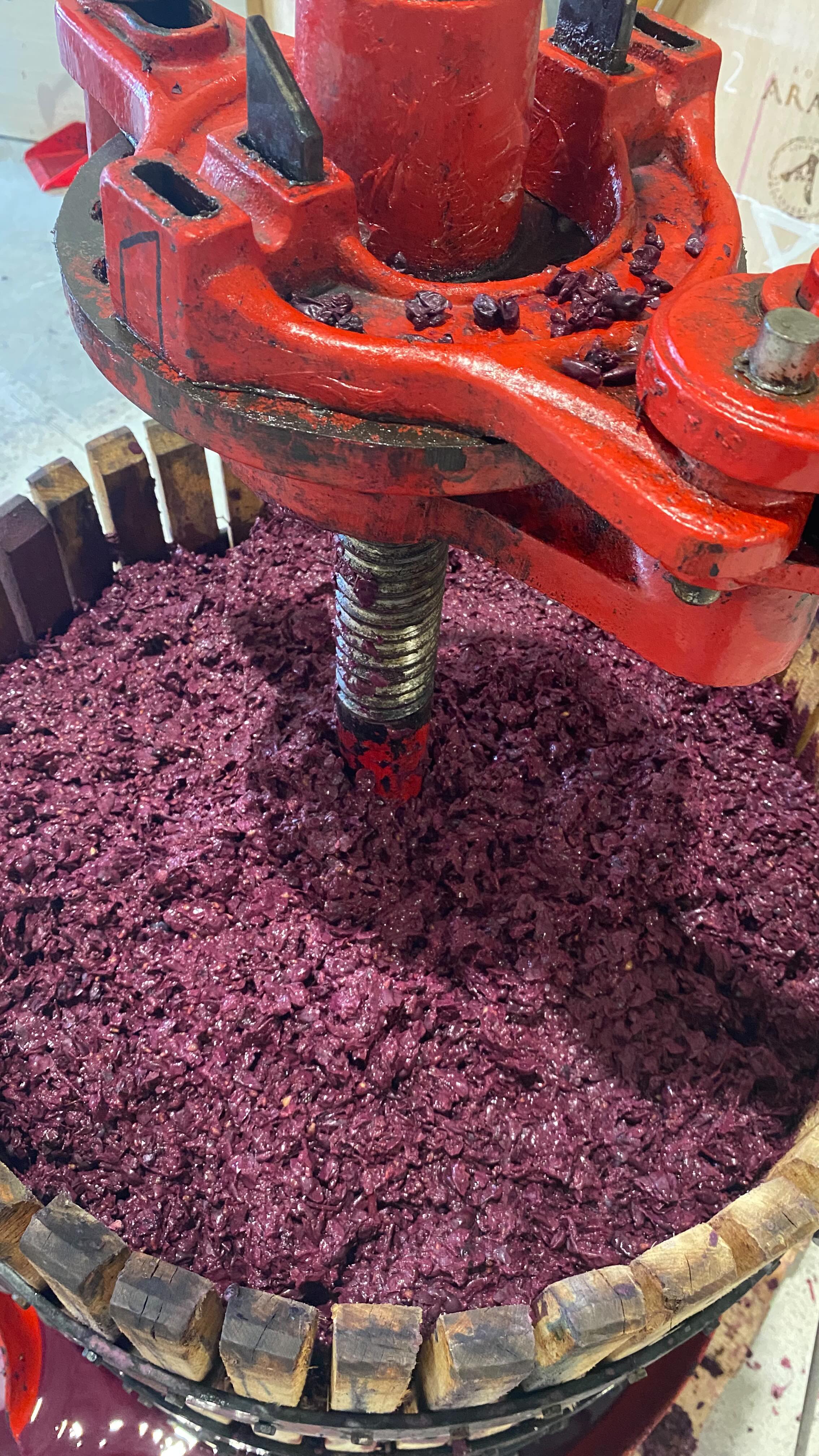 Hoy prensamos la futura GARNACHA PROMETIDA DE ARADÓN.
La prensa manual de vendimia seleccionada es una herramienta tradi