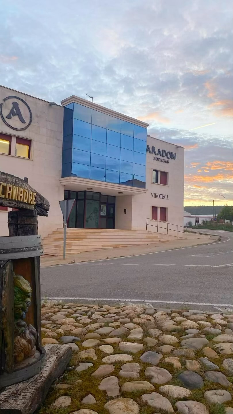 La VENDIMIA SELECCIONADA es un proceso manual en el que se eligen cuidadosamente las mejores uvas, descartando las que n