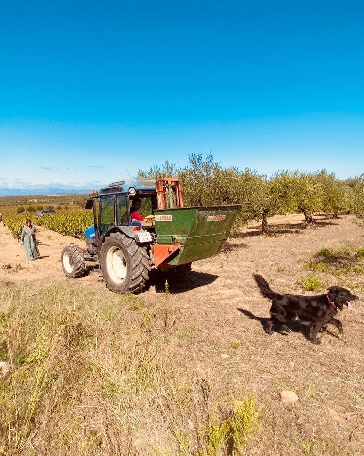 Detrás de cada copa de vino hay una historia de esfuerzo, dedicación y pasión. Son las manos de nuestros viticultores la