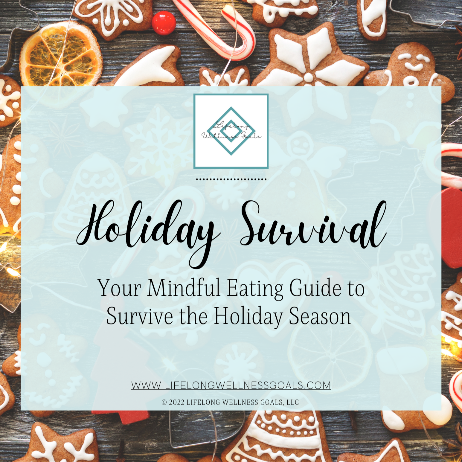 Holiday Survival Guide thumbnail