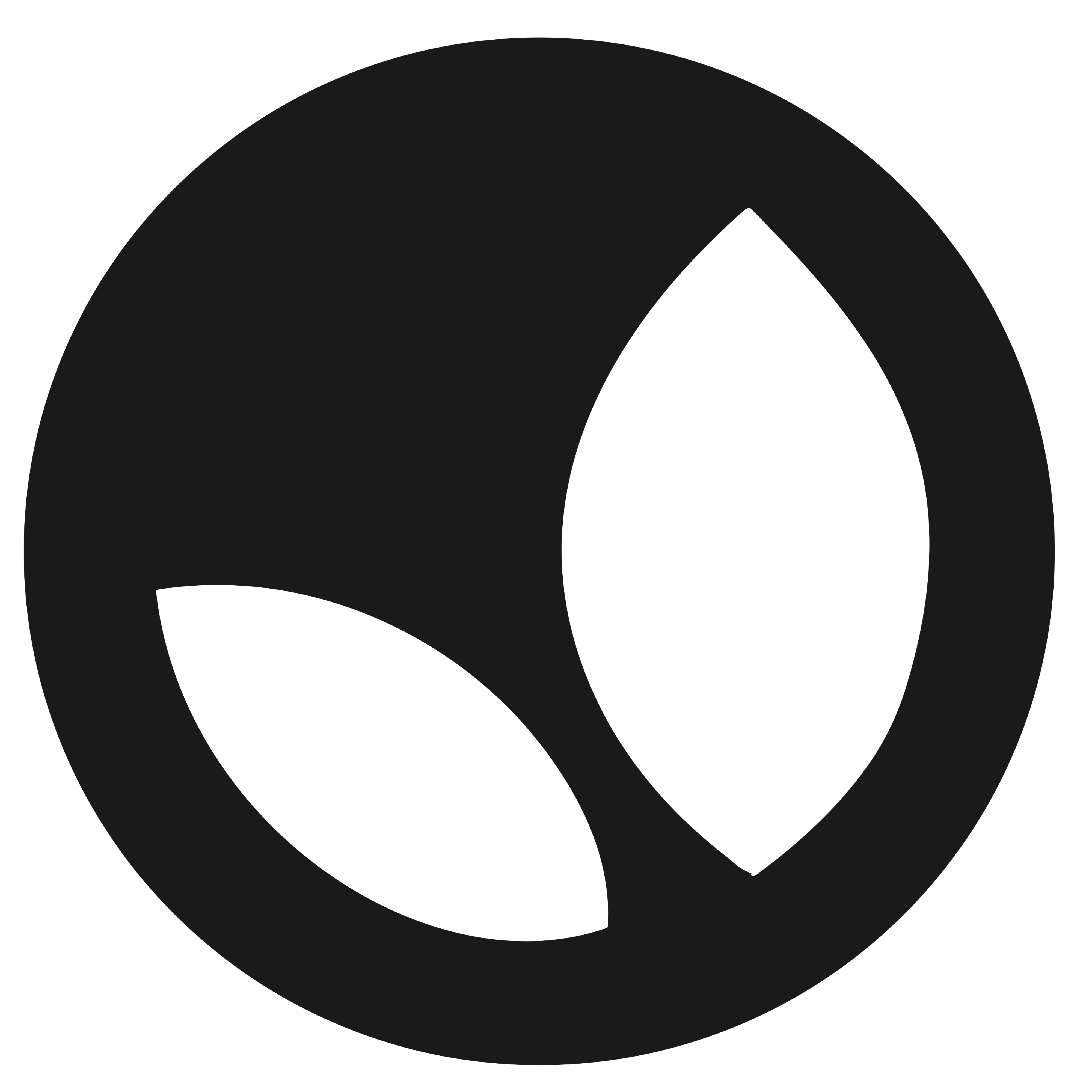 Mein hajoona 👉 Qualität die meßbar ist  thumbnail