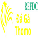 @dagarefdc · Đá Gà Trực Tiếp Thomo thumbnail
