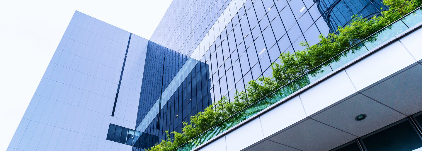 Offshore Software Development: Enterprise Guide 2025–2030 thumbnail