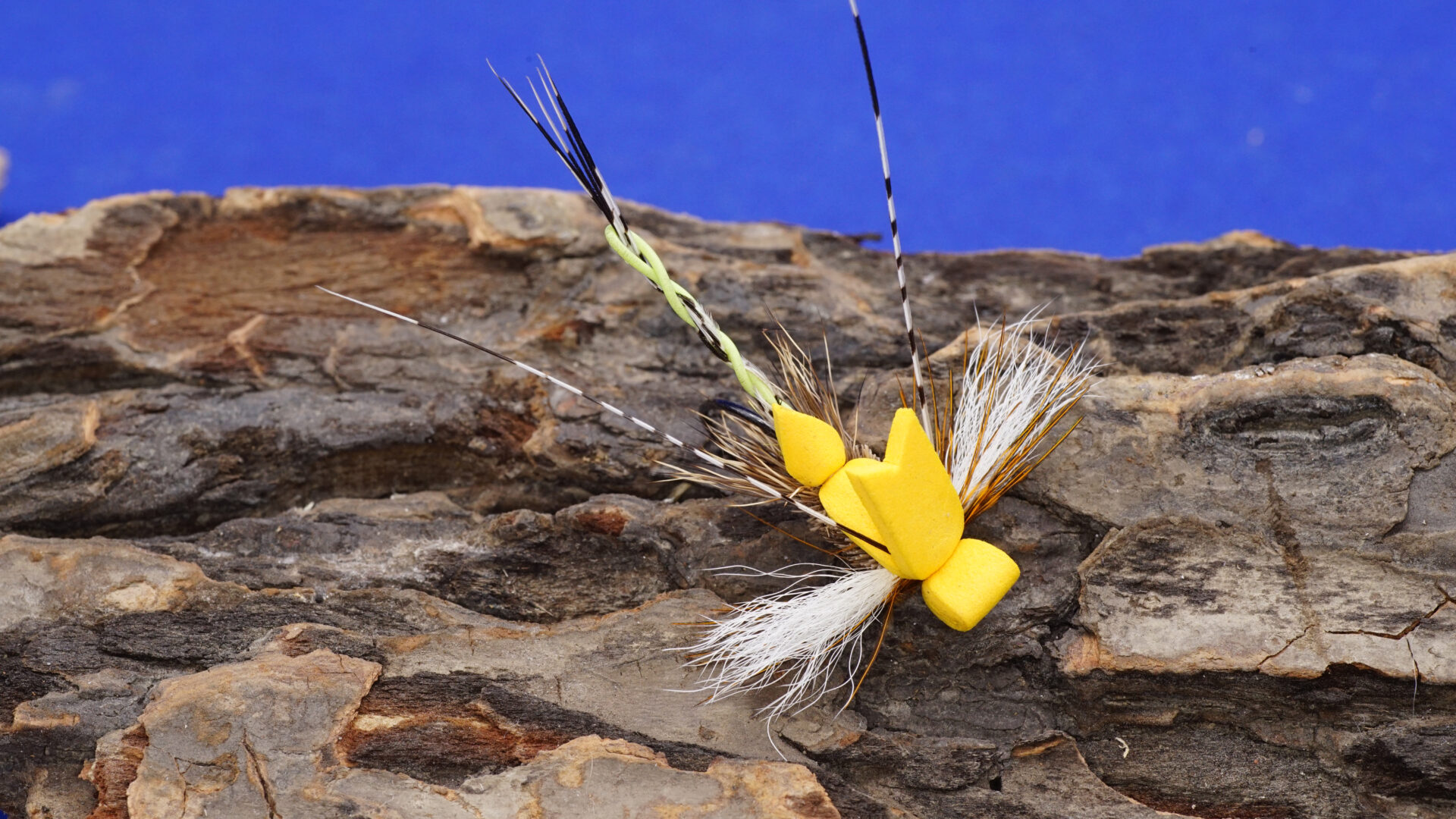 Tying The Furled Skater thumbnail