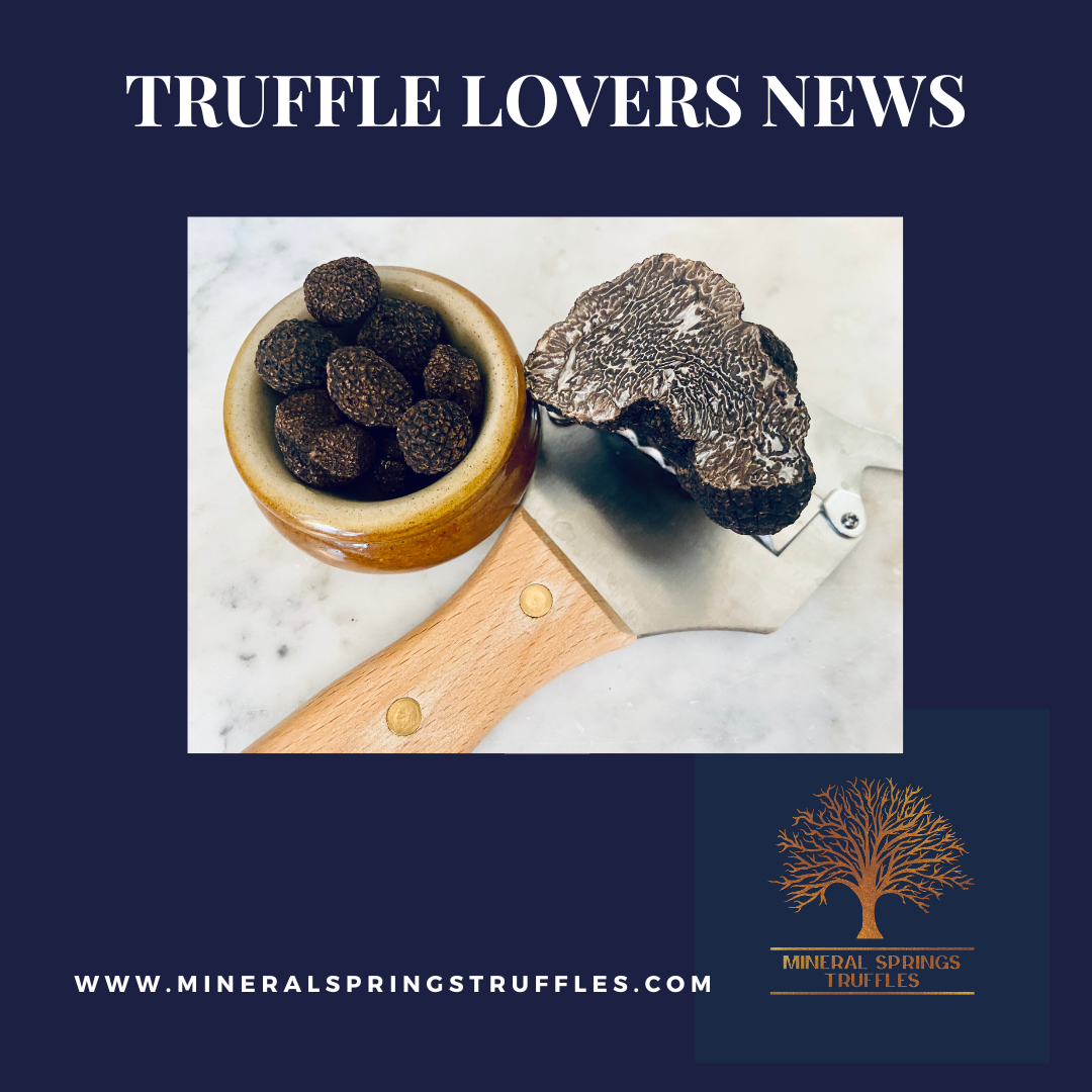 JOIN - Truffle Lovers News thumbnail