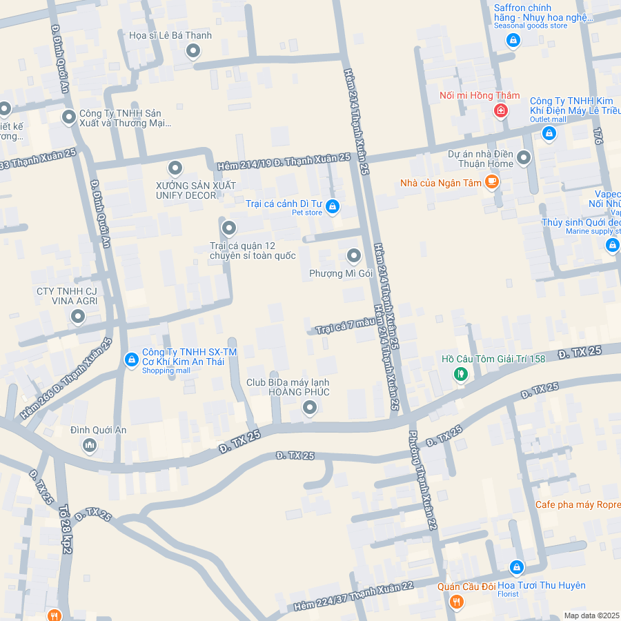 Google Maps thumbnail