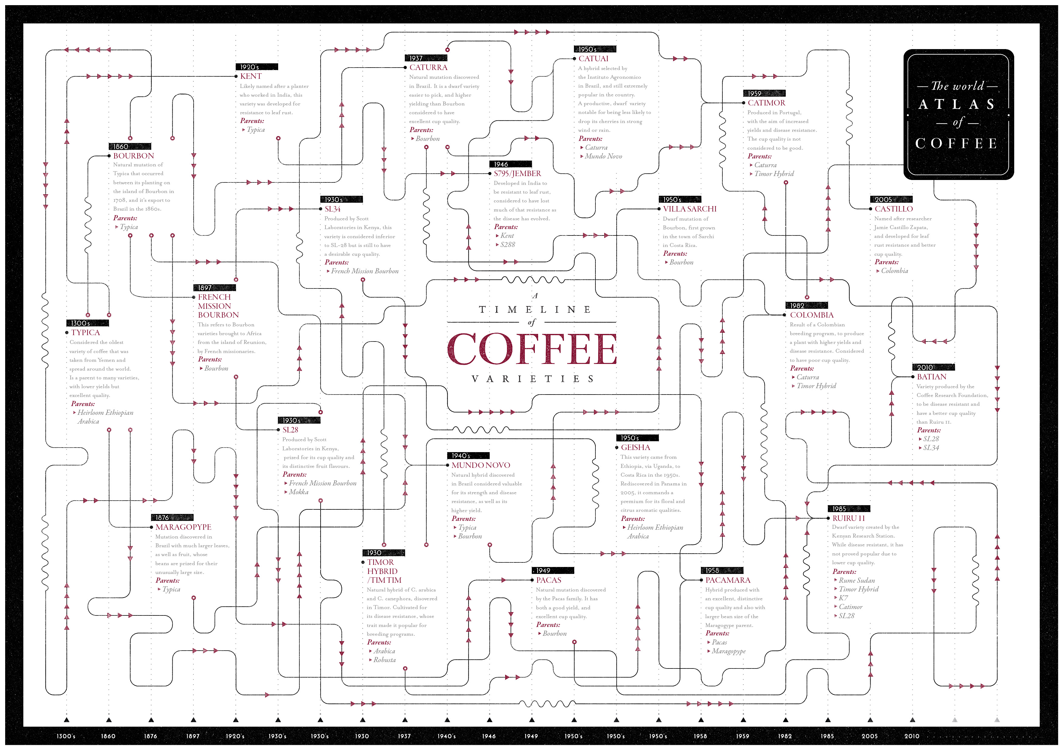 Variety Family Tree Timeline Poster thumbnail