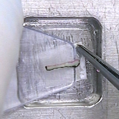 Paper Embedding Tutorial thumbnail