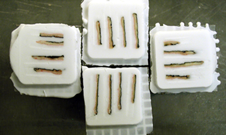 Face Down Cryoembedding Technique thumbnail