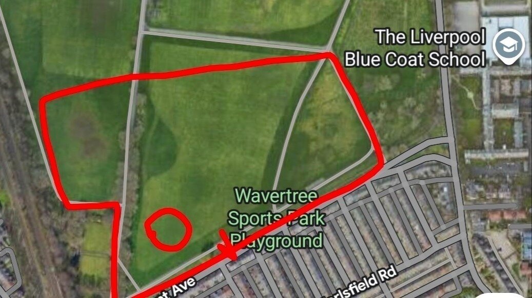 More Info + Sign Our Petition thumbnail