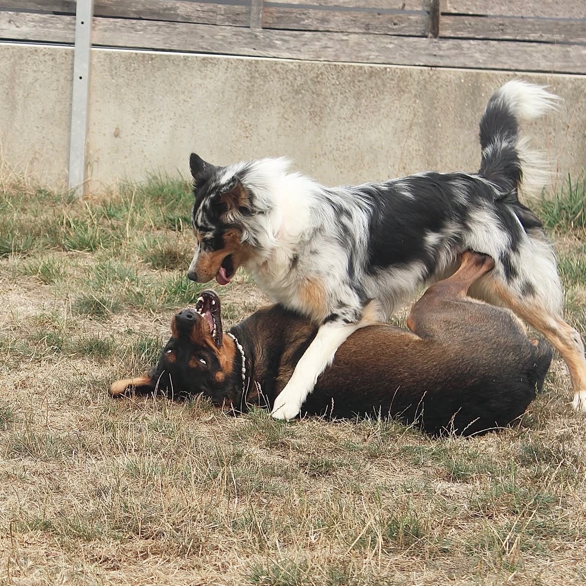 RÉSERVATION PENSION / VAD 🗓️ thumbnail