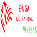 @dagaweb555 · Đá Gà Trực Tiếp Thomo thumbnail