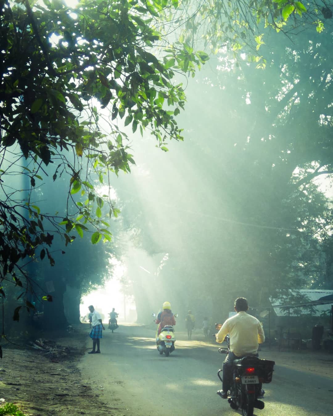 ☀️ Cover me in sun shine ✨
.
#sun #sunlight #sunray #sunrays #rays #green #blue #India #roads #indianroads #sunshine #mo