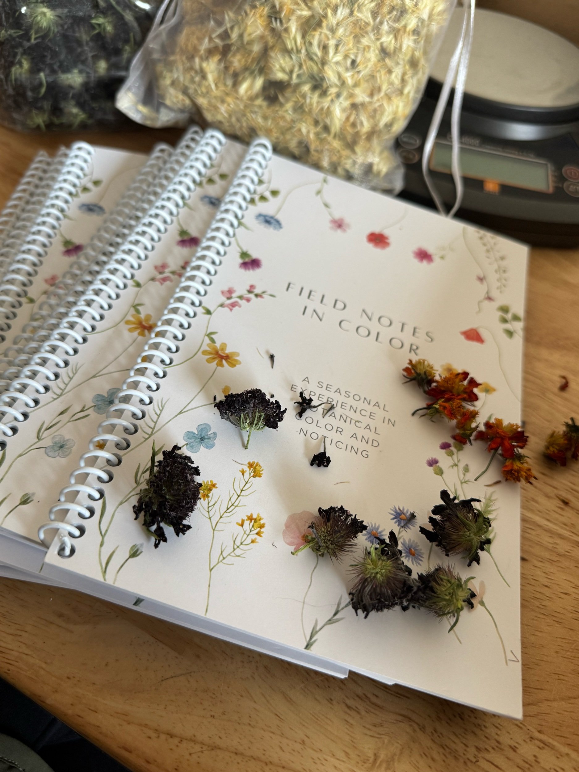 Field Notes in Color Botanical Dye Experience — Timber and Twine at Small Acre Farm thumbnail