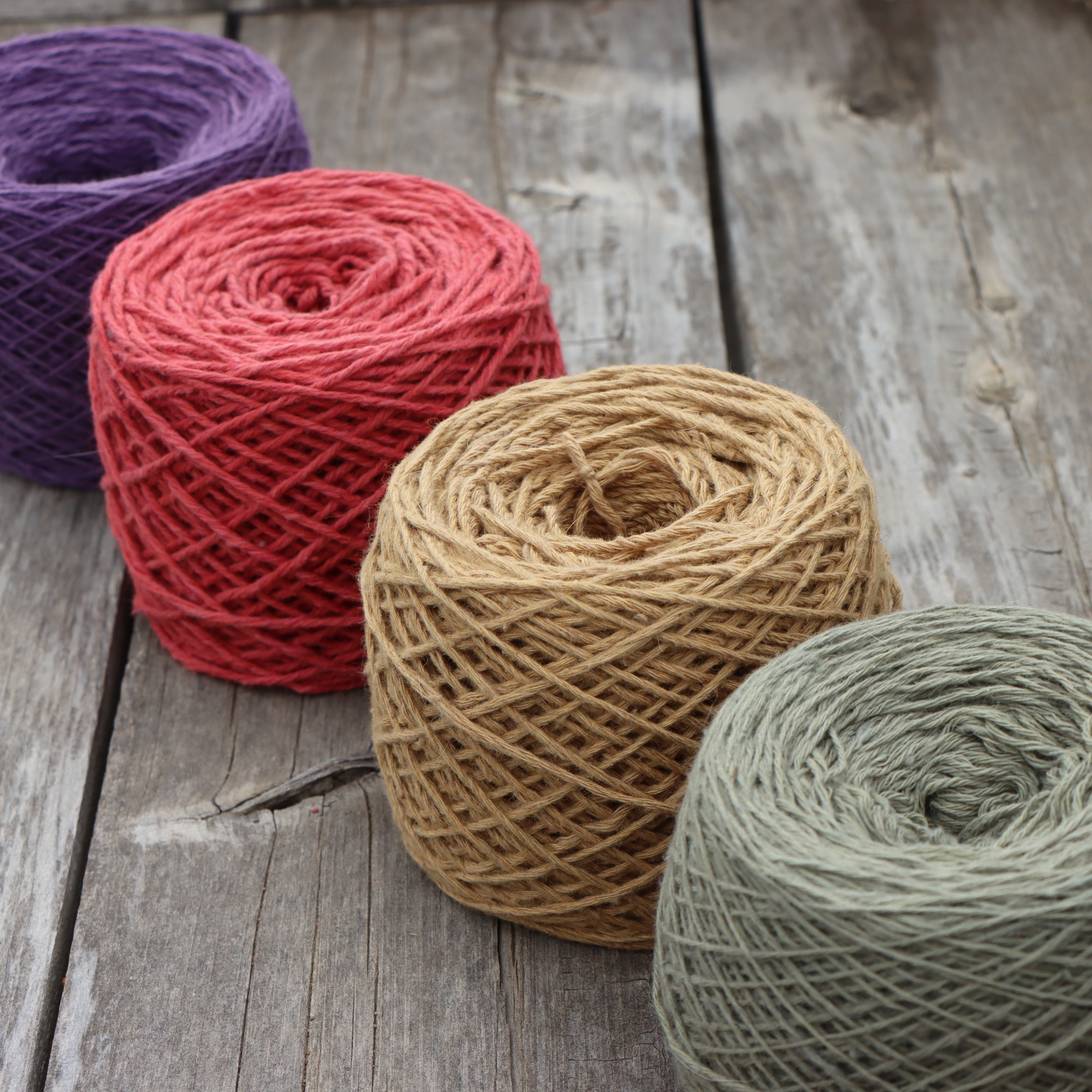 Shop the website thumbnail