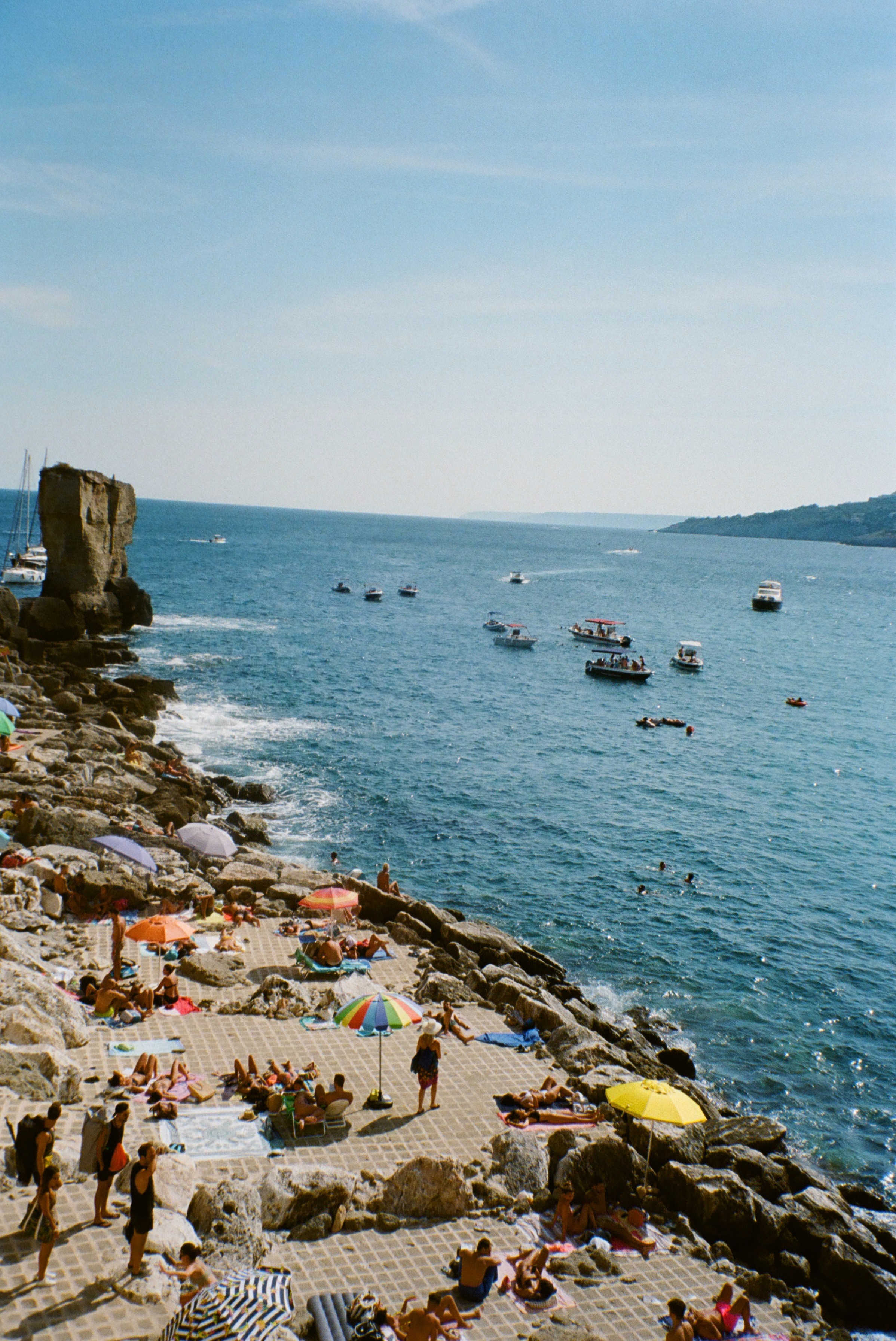 NEWSLETTEr thumbnail