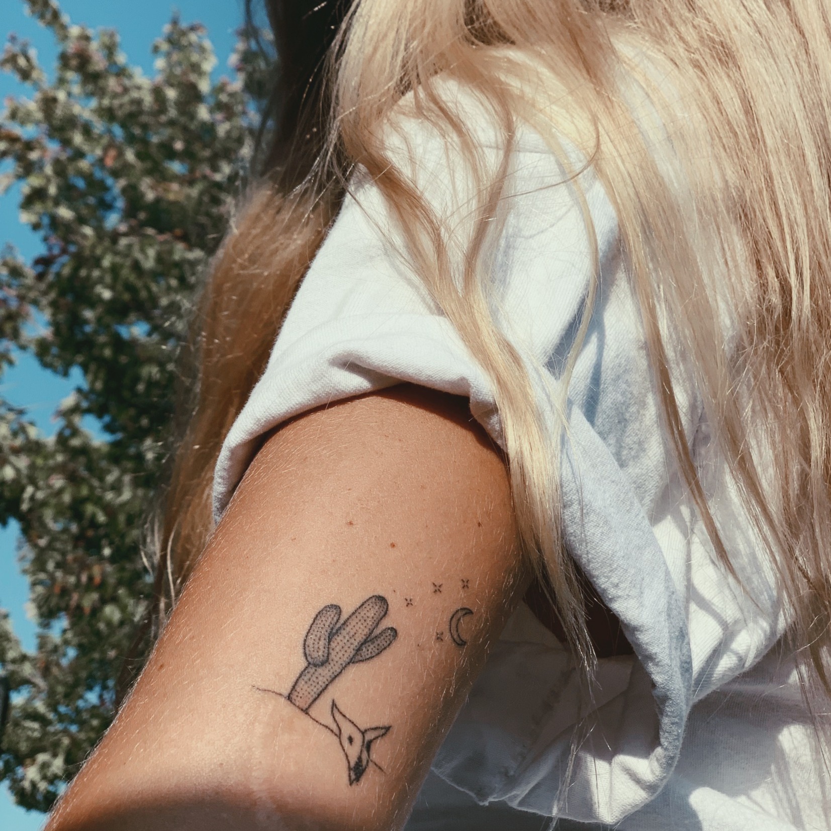 BROOKLYN TATTOO APPOINTMENTS thumbnail