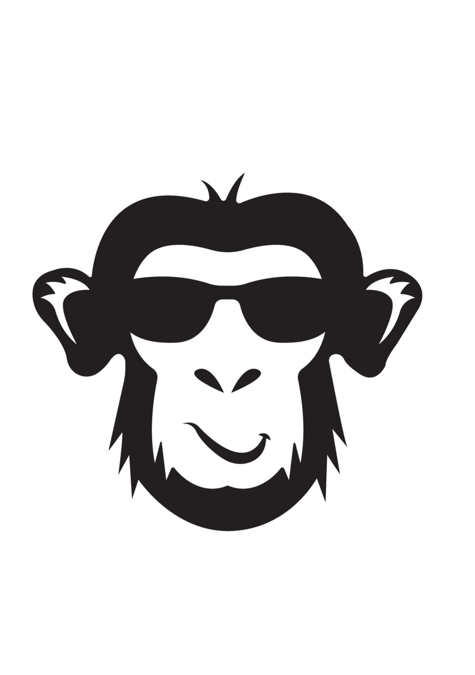 Freedom Monkey — Bio Site