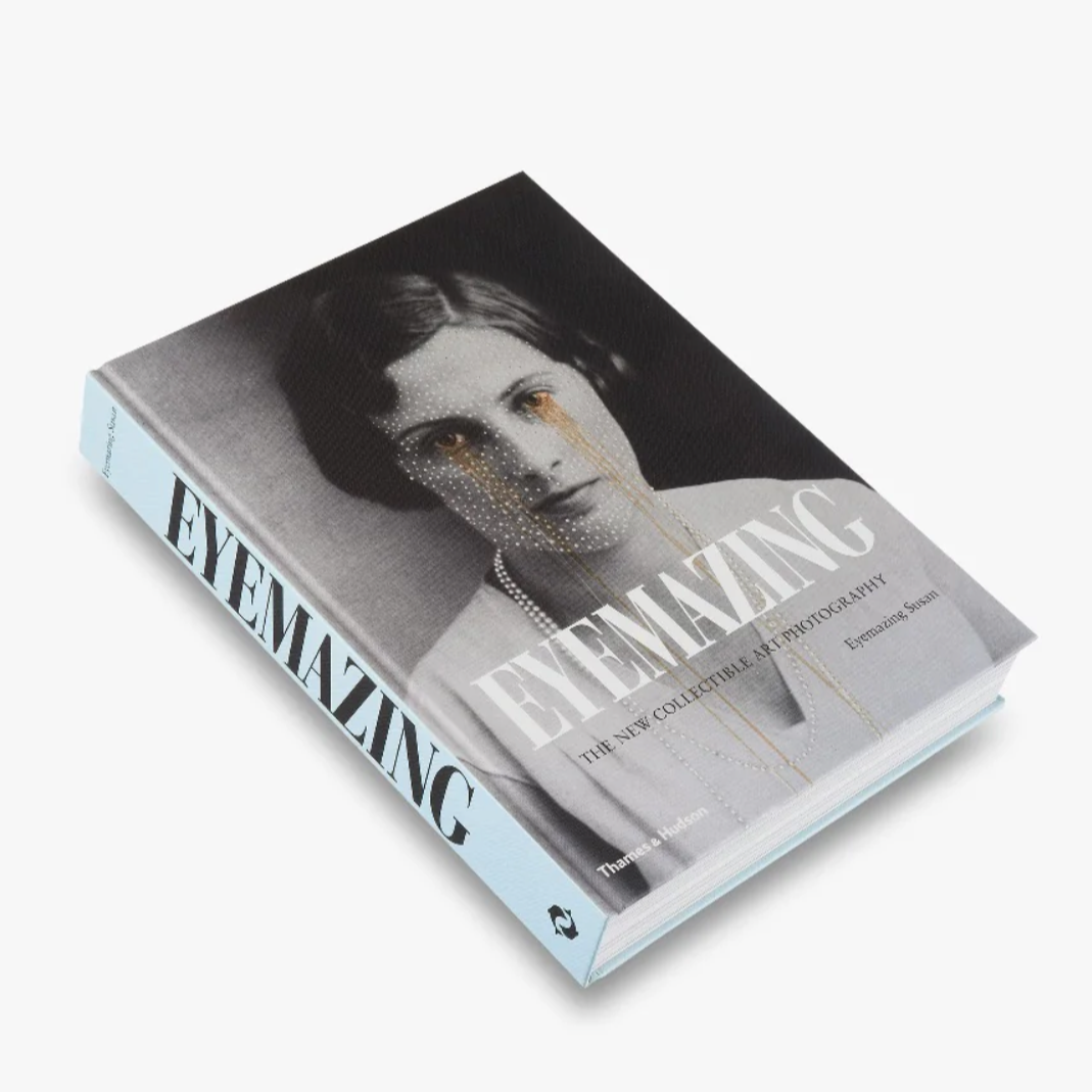 Thames&Hudson book by Susan Zadeh thumbnail