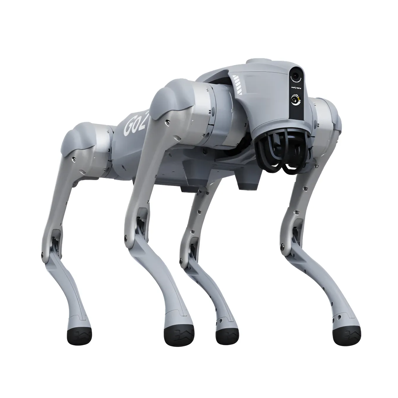 Cachorro Robô à venda thumbnail