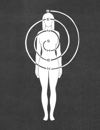 THE MEMBERSHIP thumbnail