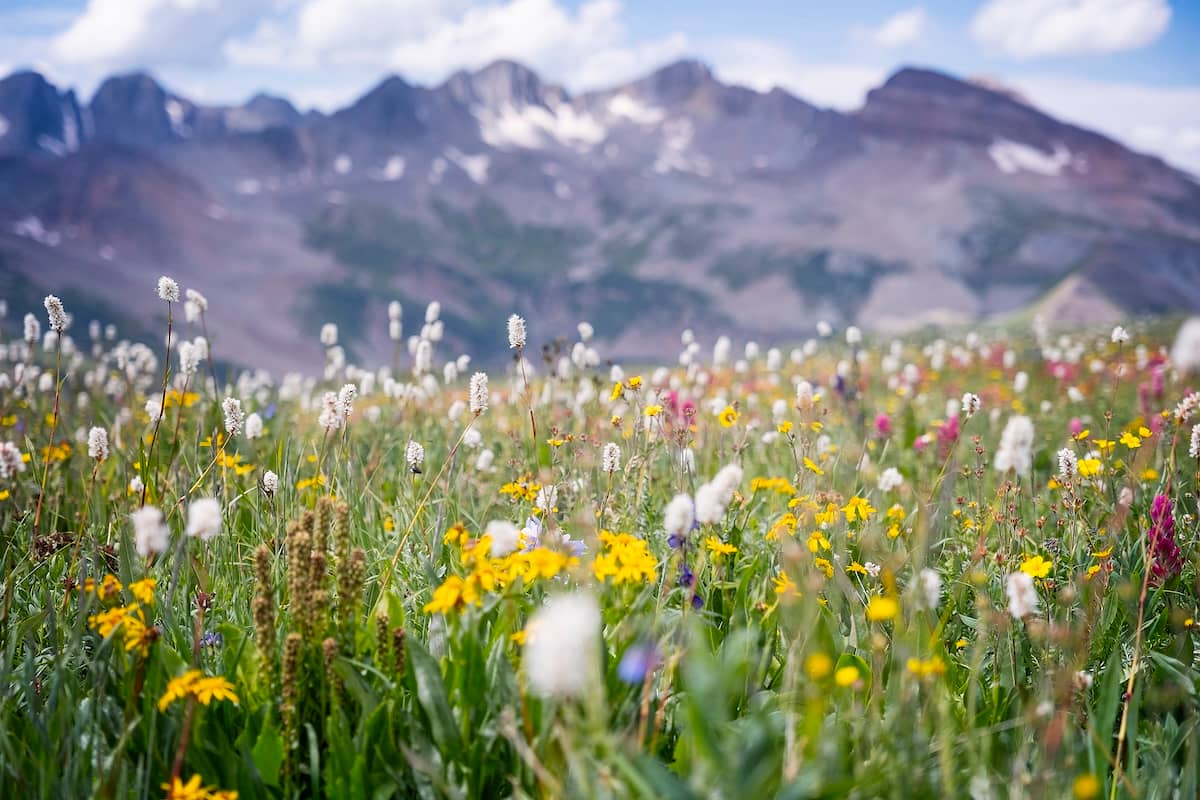 Tip ❤︎ Jar thumbnail