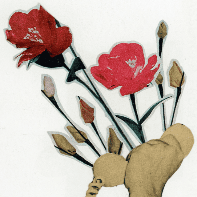 Sin título I thumbnail