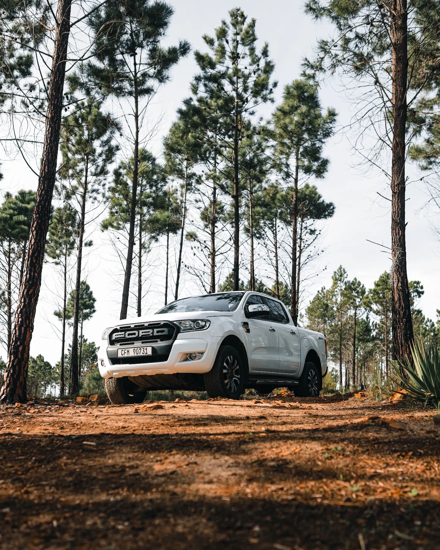 Sneaky forest Ranger shot 👀🌿

#nature #naturephotography #nature_perfection #fiftyshades_of_nature #ford #landscapephoto