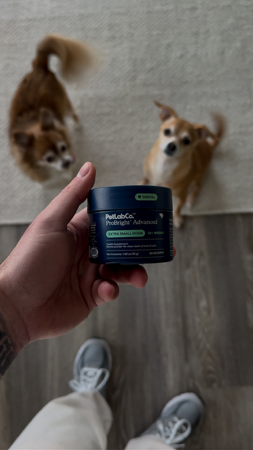 Save up to 40% off PetLabCo. ProBright® Advanced dental powder for dogs 🦷 🍃 thumbnail