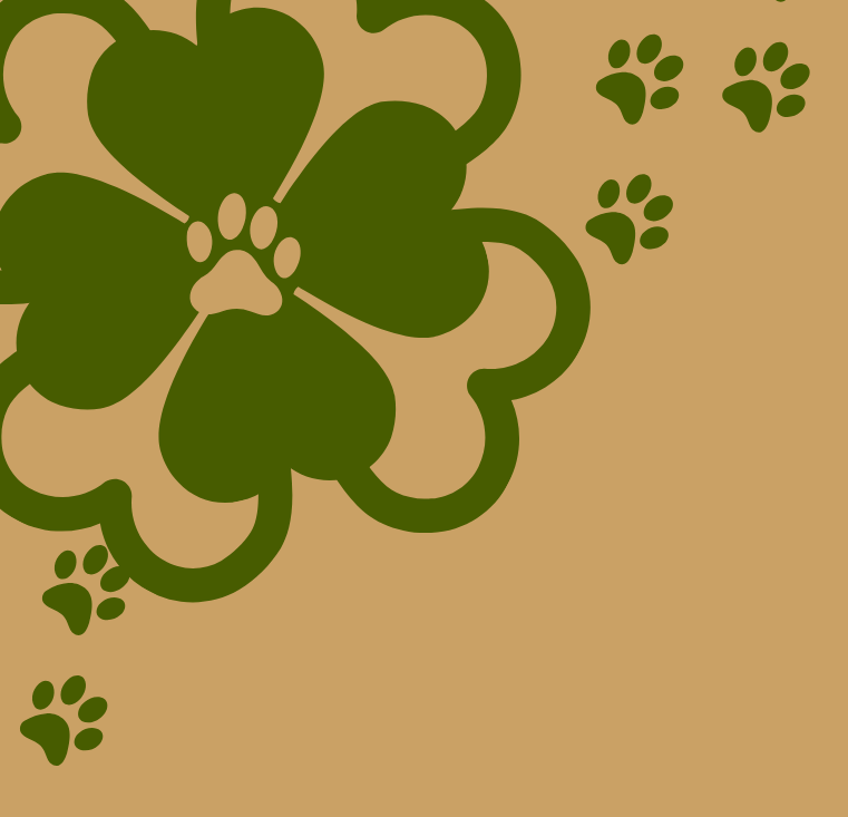 Trevo São Jorge Ivaí e região  thumbnail