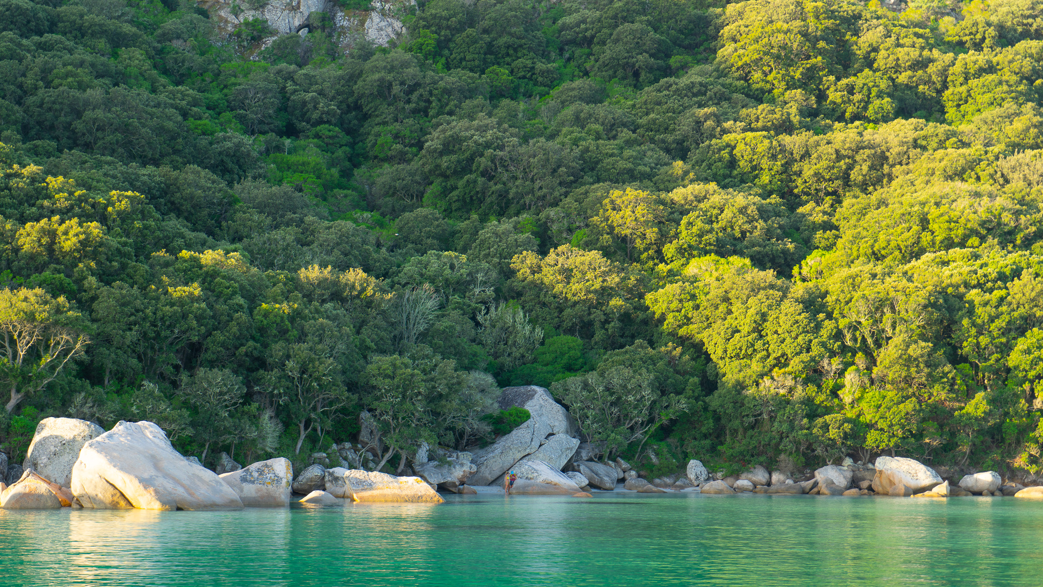 South Corsica thumbnail