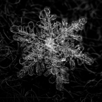 LIVE WITH OLYMPUS - MACRO SNOWFLAKES (STARTS AT 33MIN) thumbnail