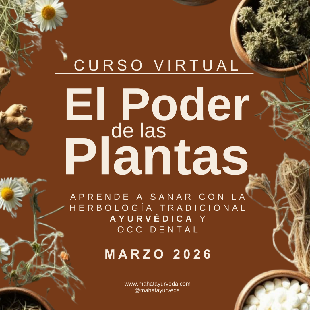 CURSO: EL PODER DE LAS PLANTAS AYURVÉDICAS Y OCCIDENTALES thumbnail