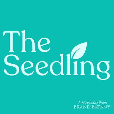 Read My Substack Newsletter - The Seedling thumbnail