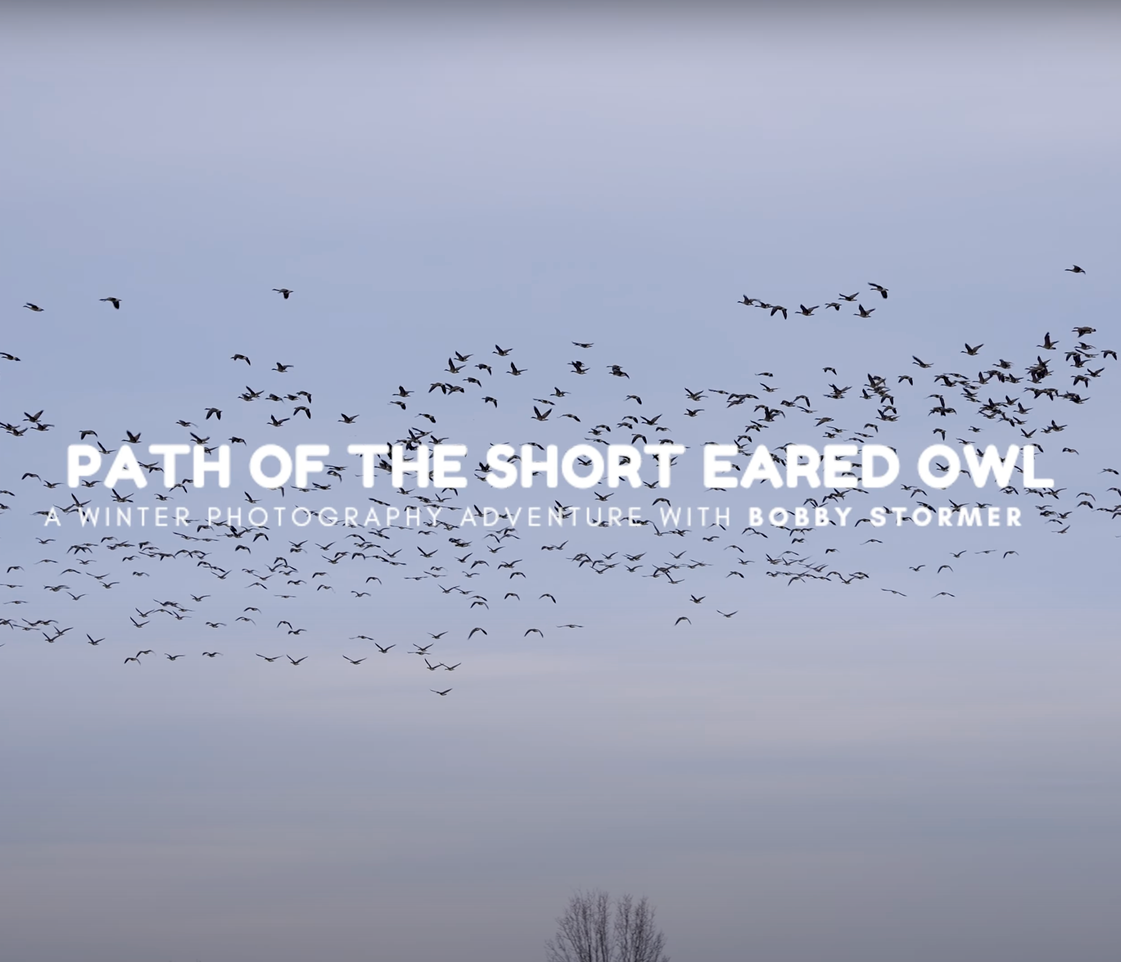 Owl Workshop Vlog - Winter 2025 thumbnail