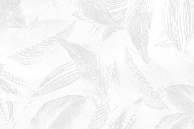 BioSite banner for @contour