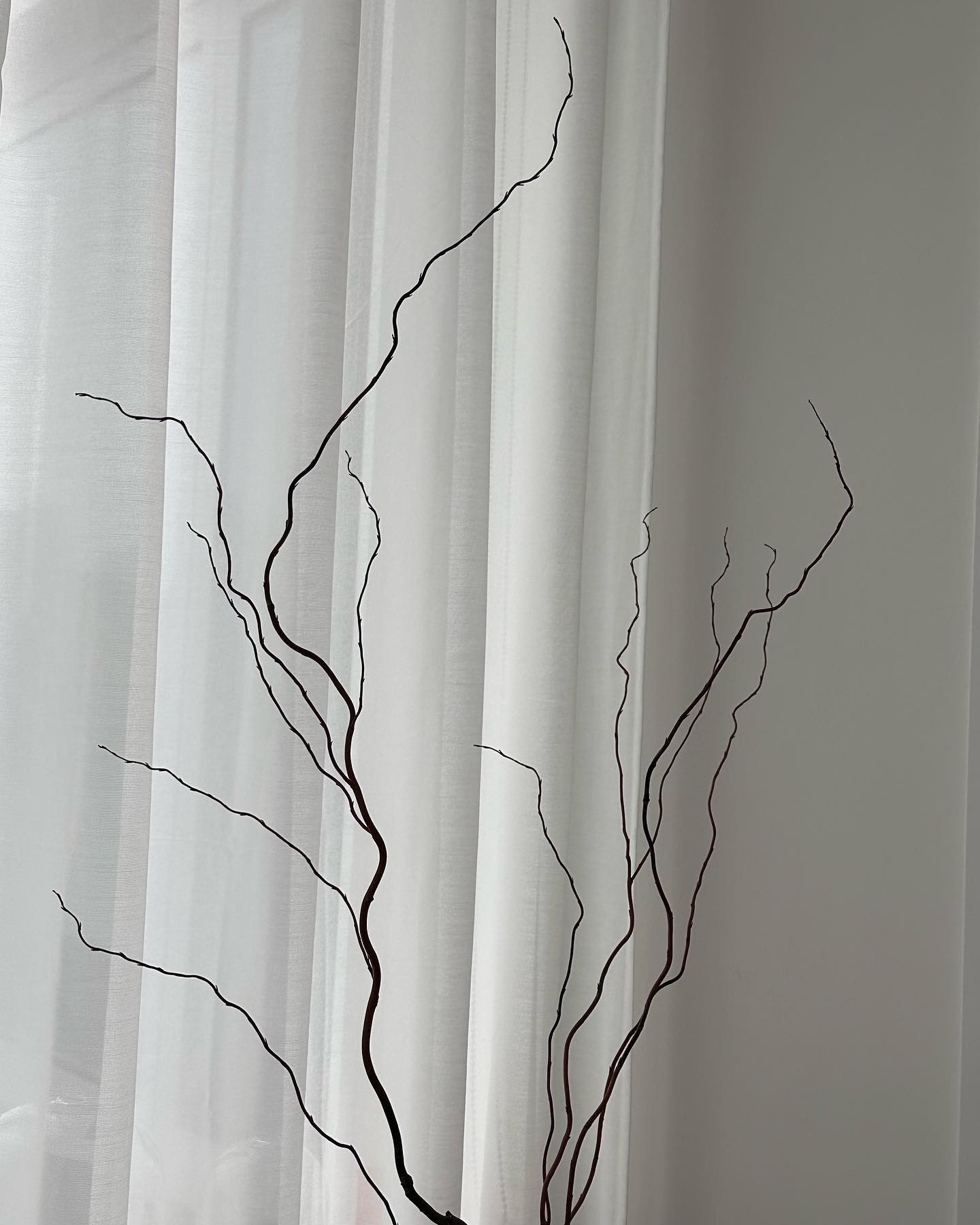 Minimalist aesthetics ✨ 

•

#vintagestorenyc #vintagestore #homedecor #interiordecor #vintageshop #homegoods #interiori